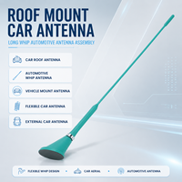 Antenne de toit universelle longue et fine pour voiture, avec base intégrée, couleur personnalisée, OEM pour auto, SUV, camion
