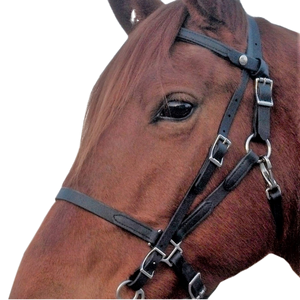 Brida de Cuero Ajustable para Caballo Horshi en Existencia, Color Negro, Rojo y Azul - Product Image 1