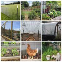 Malla de Alambre Soldada Galvanizada de Alta Calidad, Calibre 10, para Jaulas de Conejos, Pájaros, Animales y Mascotas