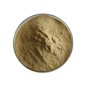 Groothandel Rumex Crispus Krullend Dock Geel Dock Poeder Biologische Dock Wortel Extract