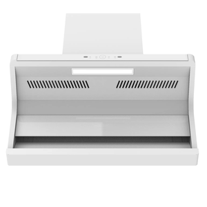 Pulsante di vendita caldo L filtro a forma di grande aspirazione professionale OEM/ODM cucina camino fornello cappa - Product Image 3