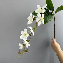 Impresión 3D <span class=keywords><strong>de</strong></span> un diseño <span class=keywords><strong>de</strong></span> escena floral <span class=keywords><strong>de</strong></span> seda <span class=keywords><strong>de</strong></span> alta gama con jazmín suspendido y manzanilla artificial. - Product Image 4