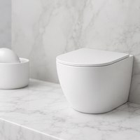WC monobloc blanc durable à chasse d'eau Tornado Cyclone 180 mm avec siphon en P, équipement sanitaire en céramique pour salle de bain, certifié CE WaterMark
