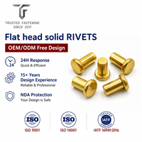Rivets plats personnalisés TianFang pour liaisons de pompes et de vannes, en acier inoxydable passivé, conception OEM ODM et approvisionnement en gros