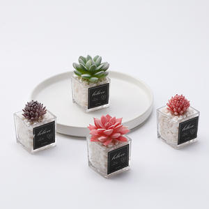 環境に優しい軽量のクリスマス、感謝祭、イースター、新年用のリアルなミニチュア人工多肉植物の鉢植え - Product Image 2