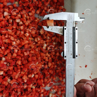 Industriële stabiele fruit- en groentesnijmachine, blokjes snijder voor mango, ananas, aardbei, cantaloupe, wortel, blokjesbewerking