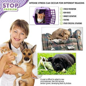 DB chat apaisant diffuseur félin calme phéromones plug-in pour chats Anti-anxiété et soulagement du stress fournitures d'entraînement pour animaux de compagnie - Product Image 4