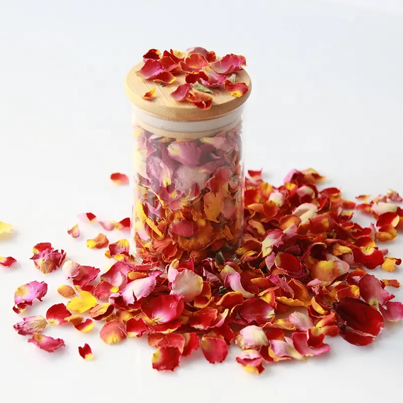 Fancier Mini Dried Rose with small petals handmade DIY materials