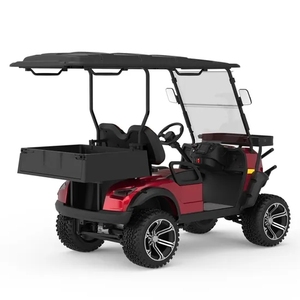 Carrito de Golf Clásico Vintage HKBG de 2 Plazas con Caja de Batería de Litio/Plomo-Ácido de 48V, Velocidad de 30-50 km/h y Autonomía de 50-70 km, Nuevo Diseño 2024 - Product Image 3
