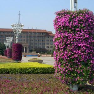 Macetero Ecológico SOL Semicircular, Poste de Luz para Jardín Vertical, Torre de Jardín con Macetero Integrado - Product Image 4