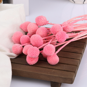 N-115 Craspedia naturelle séchée, fleurs jaunes Billy Buttons, bouquets <span class=keywords><strong>de</strong></span> boules, mini bouquet <span class=keywords><strong>de</strong></span> fleurs <span class=keywords><strong>séchées</strong></span> pour vase, artisanat à domicile - Product Image 3