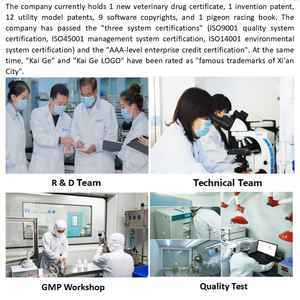 Polvo para la Salud Respiratoria e Intestinal de las Palomas, el Más Vendido, Gránulos para la Salud Inmunológica del Corral, Ojos Brillantes, Protección Contra el Adenovirus - Product Image 6