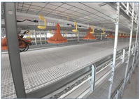 Système de cages automatiques de haute qualité pour poules pondeuses et poulets de chair pour poulailler