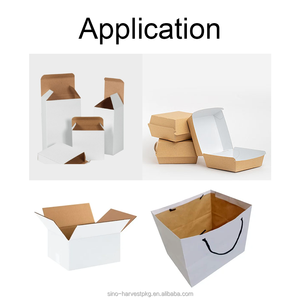 Chất lượng cao Kraft thử nghiệm lót giấy kraft với màu trắng 110-300gsm phân hủy sinh học Kraft lót Hội Đồng Quản trị giấy - Product Image 2