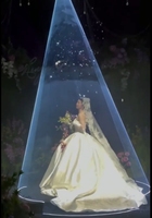 Laser de mariage 3W Full Color Dj Lazer Light Rgb Laser 3W Ilda Lumière laser d'animation pour événement de mariage
