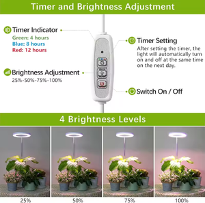 Venta caliente Invernadero Accesorio de interior espectro completo Tiras de 650 vatios LED Luz de cultivo de plantas - Product Image 4