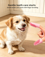 Brosse à dents pour animaux de compagnie en silicone de qualité alimentaire, brosse à doigts douce pour nettoyer les dents des chiens et des chats, outil de soin buccal pour petits animaux