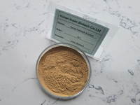 Extrait de Labisia Pumila soluble dans l'eau, qualité alimentaire 10:1, poudre d'extrait de Kacip Fatimah