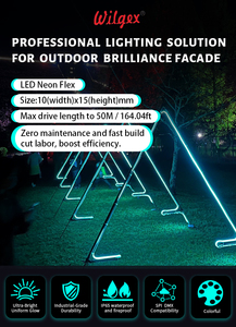 Strisce LED RGBIC per Ingegneria, Illuminazione Esterna di Edifici e Paesaggi, Luci al Neon, Striscia LED 2835 - Product Image 6