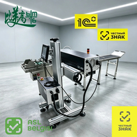 Machine de marquage laser personnalisée ASL BELGISI avec pagination automatique pour l'emballage de snacks et l'emballage souple de snacks
