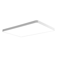Plafonnier sans ombre ultra-lumineux pour diffusion en direct, idéal pour les magasins de vêtements, salons de coiffure et barbiers - Fer forgé