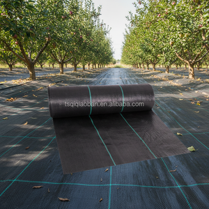 <span class=keywords><strong>Film</strong></span> de paillage géotextile en polypropylène (PP) tissé, résistant aux UV, anti-âge, durable, imperméable et indéchirable pour le jardinage - Product Image 4