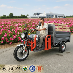 Triciclo Eléctrico de 1000W y 72V, 3090mm de Longitud, 3 Ruedas, Caja de Carga Abierta para Granja y Logística - Product Image 3