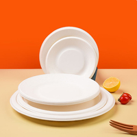 Assiettes rondes jetables en pulpe de bagasse blanche, compostables et écologiques, pour desserts, activités artistiques pour enfants, anniversaires et réceptions.