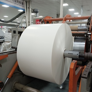 Papier en rouleau de qualité alimentaire 150-350 g/m², enduit de PE, pour gobelets en papier - Product Image 3