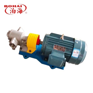 <b>Pump</b> KCB Gear Rust-Free Stainless Steel Steady Displacement Dry-Running Safe for Biofuel Industry - Product Image 5