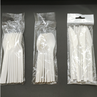 Greenday Fabricant Vente en gros 100% compostable 6 pouces/6,5 pouces Cuillère CPLA Couverts Vaisselle Ensemble de couverts CPLA Emballage de vente au détail