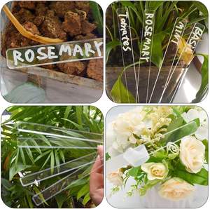 Fournitures de <span class=keywords><strong>jardin</strong></span> Etiquettes vierges pour plantes d'extérieur Etiquettes d'identification de légumes transparentes Marqueurs acryliques - Product Image 5