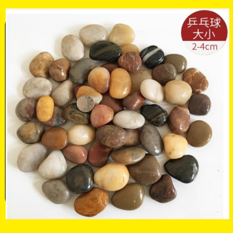 Mèches multicolores 2-3cm 25kg
