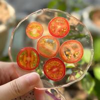 Handgemaakte epoxyhars onderzetters met echte fruitschijfjes, hittebestendig design - perfect voor thuis, kopjesonderzetter, keuken, café decoratie, cadeau