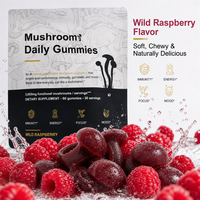 Gummies aux champignons multifonctionnels 10 en 1, complexe 3000 mg, Lion's Mane, Reishi, Cordyceps, complément alimentaire pour l'immunité et l'énergie