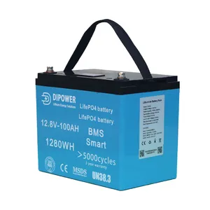 Portable MSDS ABS Battery Box 100ah lifepo4 lithium battery for Golf Cart