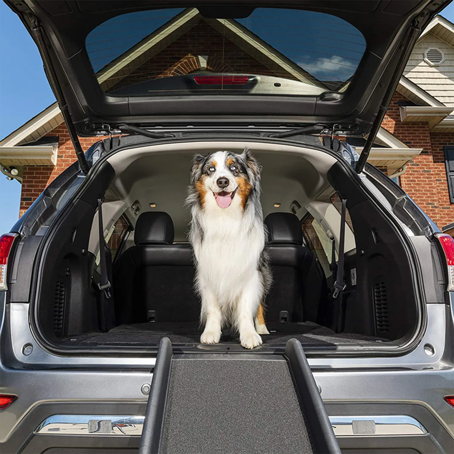 Produsen kendaraan portabel pengangkat dapat disesuaikan perjalanan luar ruangan tangga ringan langkah antilicin mobil anjing