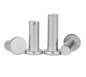 Rivets pleins en acier inoxydable 304 316 plaqué zinc blanc jaune, rivets pleins en acier au carbone 1/4 x 1/2, rivets pleins <span class=keywords><strong>à</strong></span> tête plate M10 en acier inoxydable - Product Image 4