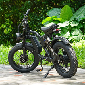 Bicicleta Eléctrica de Doble Motor para Hombre, 1000W, Aluminio, Todoterreno, Neumáticos Gruesos de 20 Pulgadas, 7 Velocidades, Diseño R1 de Doble Motor, 1500W, Potentes Motores Duales que Proporcionan R - Product Image 5