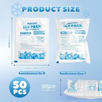 Pack de glace sèche en gel pour glacière alimentaire jetable en plastique personnalisable avec logo, feuille de congélation avec logo pour boîte à lunch