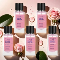 Parfum pour femmes Hanna's Secret haut de gamme, 50 ml, mini, rose rose, parfum de voyage portable, pour les voyages et le quotidien, parfums pour femmes
