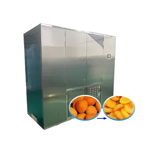 Apricots Drying Machine In Pakistan Dried Prune Dehydrator Dry Room Dryer