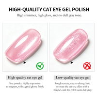 Gel à ongles magnétique effet œil de chat conforme aux normes européennes, brillant, 18 couleurs, non toxique, étiquette privée d'usine, gel à ongles effet œil de chat sans TPO