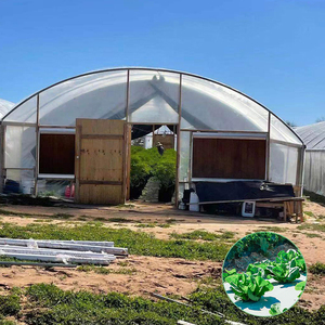 Bán Chạy Nhất Lớn Single-Span Ống Hình Elip Năng Lượng Mặt Trời <span class=keywords><strong>PVC</strong></span> Nông Nghiệp Nhà Kính Đường Hầm Bởi Bafangle - Product Image 6