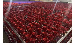 Fabrieksdirect Kristal Rosegoud Poeder Bloemkop Blauwe Betovering Valentijnsdag Bloemstuk DIY Materiaal Glitter Rozenbloem - Product Image 4