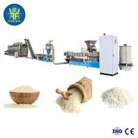 Machine d'Extrusion de Riz Instantané de Haute Qualité pour Aliments Nutritionnels, Ligne de Production de Riz Long Grain Artificiellement Enrichi