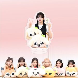Standee Acrílico Transparente de IVE POP-UP MINIVE WONYOUNG, Ídolo de KPOP, Diseño de Dibujos Animados - Product Image 4