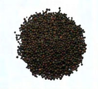 Carbone actif NMC (Nano Metal Cluster Media) 5 fois plus efficace que le KDF55 pour le traitement et la purification de l'eau, pour usage extérieur, domestique et hôtelier