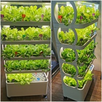Système hydroponique agricole système de culture hydroponique intelligent microgreen pour usage domestique