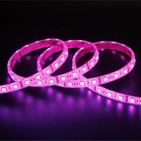 Qipao — bande lumineuse RGB Led intelligente, 12V, DC, Flexible, mélangeur vocal, musique, télécommande wi-fi, Kingstar, 5050